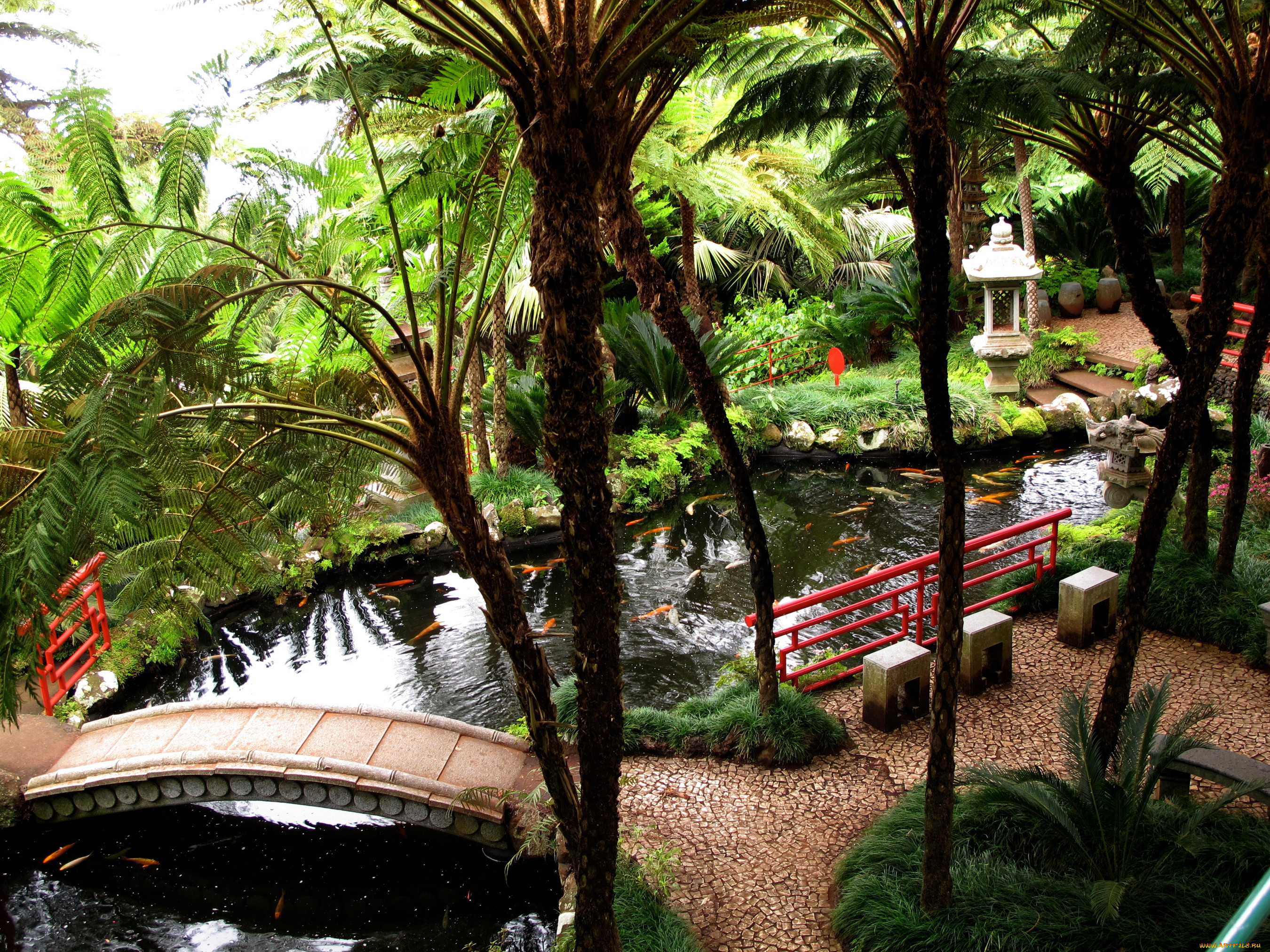 , madeira, , , 